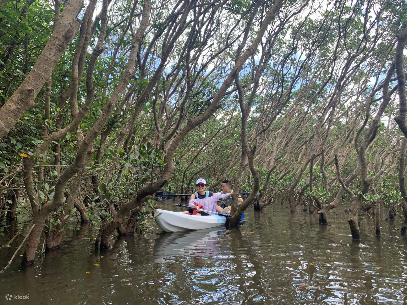 해상 생태 탐험 여행 - 팅콕 맹그로브 숲 및 마스저우 지질공원 유람